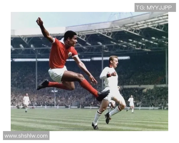 神经病足球明星的传奇人生与赛场背后的疯狂故事 神经病足球明星的传奇人生与赛场背后的疯狂故事