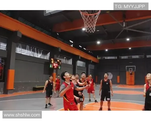 成都篮球队个人能力分析与大满贯点评全面解读