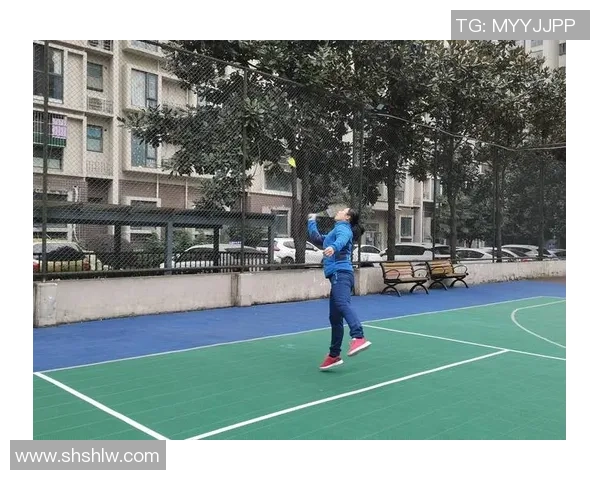 成都羽毛球队在防守与反攻中的得失分析与战术探讨